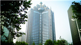 洛陽(yáng)開(kāi)元礦業(yè)集團(tuán)有限公司，始成立于2006年，主營(yíng)業(yè)務(wù)涵蓋礦產(chǎn)品貿(mào)易、礦山開(kāi)發(fā)、酒店服務(wù)、房地產(chǎn)開(kāi)發(fā)和金融投資等，集團(tuán)位于洛陽(yáng)市開(kāi)元大道世貿(mào)中心；中國(guó)民主建國(guó)會(huì)會(huì)員、青年企業(yè)家許明月先生是公司創(chuàng)始人和實(shí)際控制人，目前任洛陽(yáng)開(kāi)元礦業(yè)集團(tuán)有限公司董事長(zhǎng)兼總經(jīng)理。
